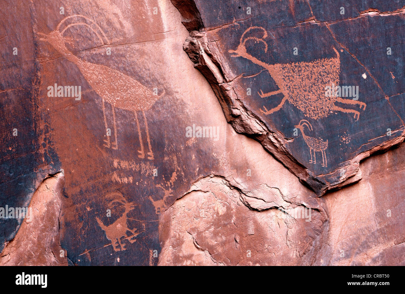 Petroglyphs etched in sandstone, symbols, prehistoric and historic rock art, wall drawings by the Anasazi Native Americans Stock Photo
