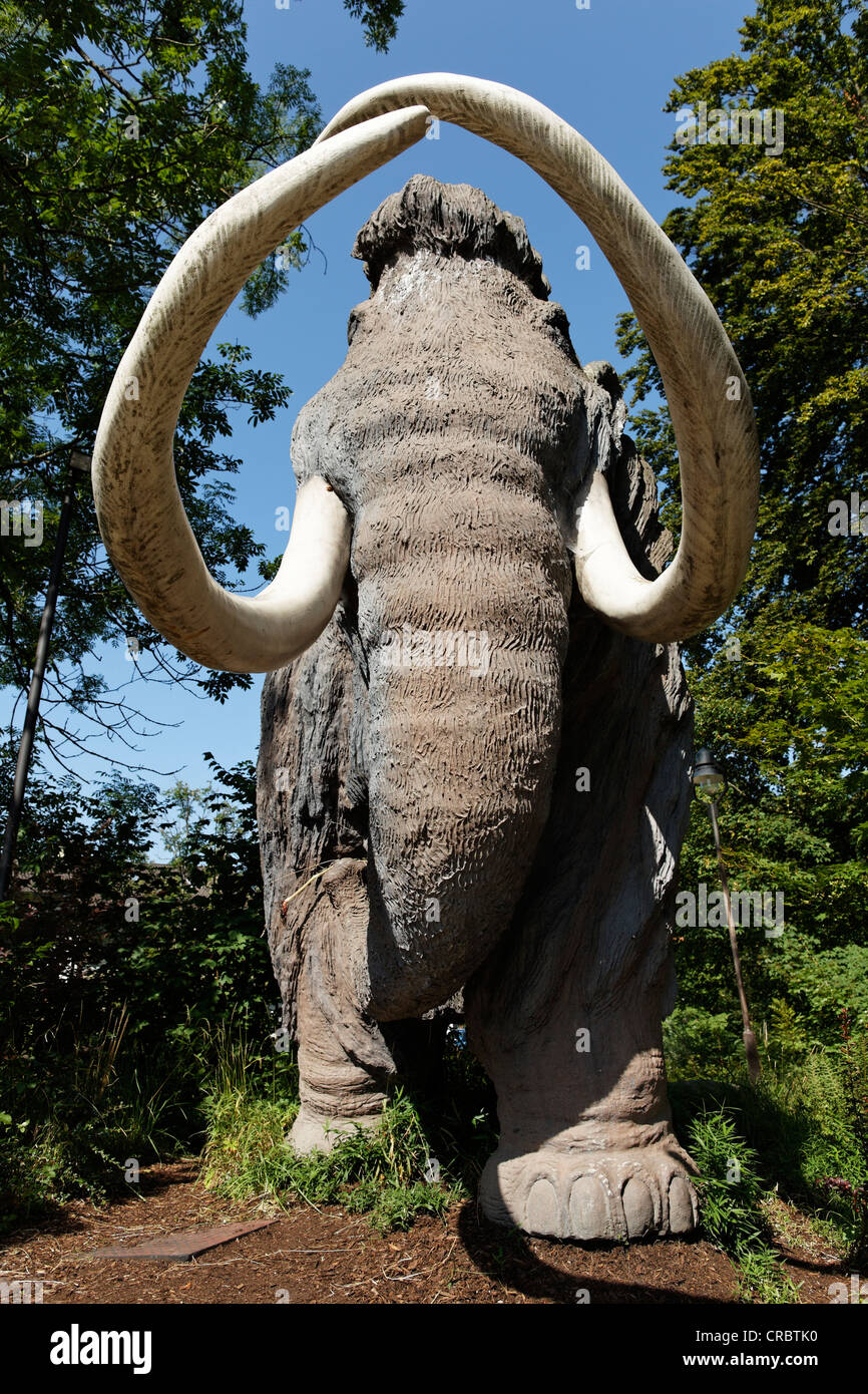 Dermoplastic reconstruction of the Siegsdorf mammoth, Siegsdorf, Chiemgau, Upper Bavaria, Bavaria, Germany, Europe, PublicGround Stock Photo