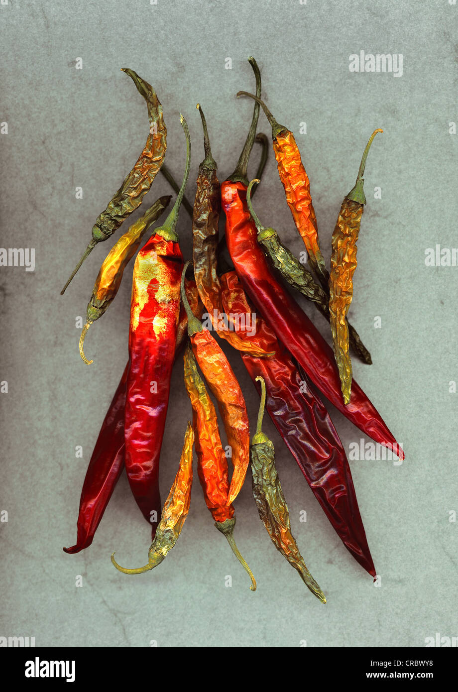 Coloours High Resolution Stock Photography and Images - Alamy