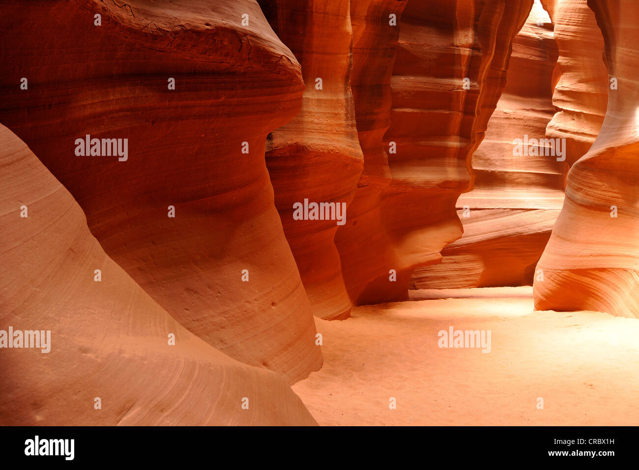 Sand route, red sandstone of the Moenkopi Formation, rock formations ...