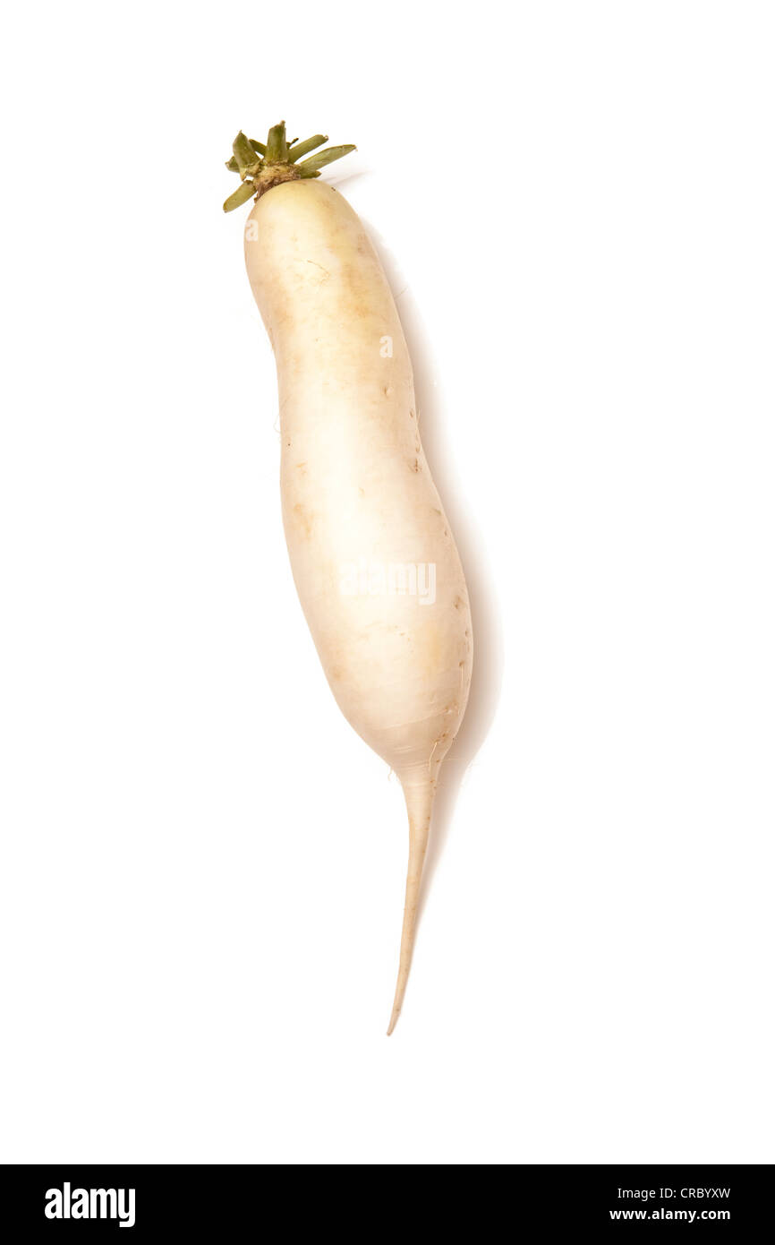 Mooli radish or Daikon isolated on a white studio background Stock Photo