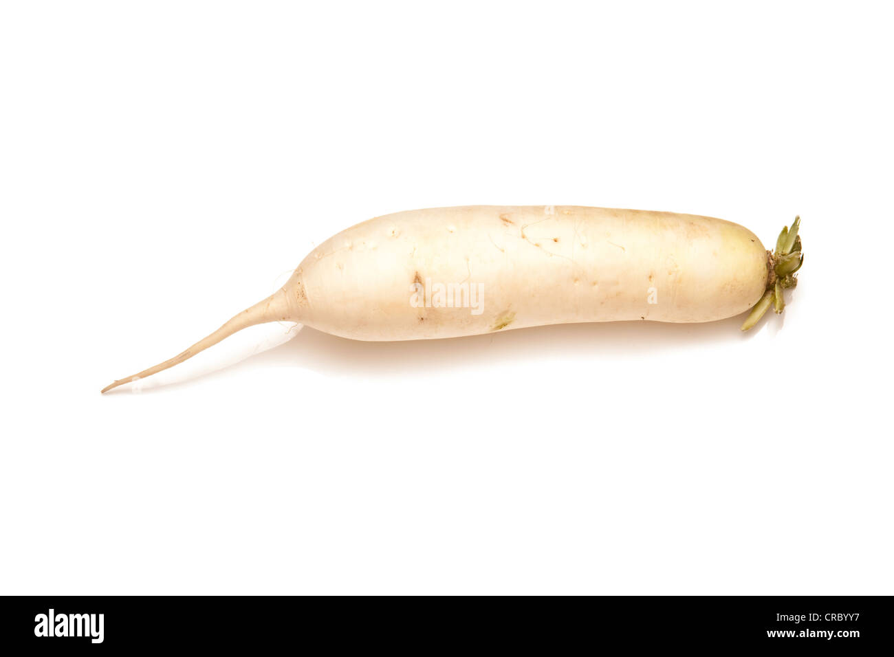 Mooli radish or Daikon isolated on a white studio background Stock Photo