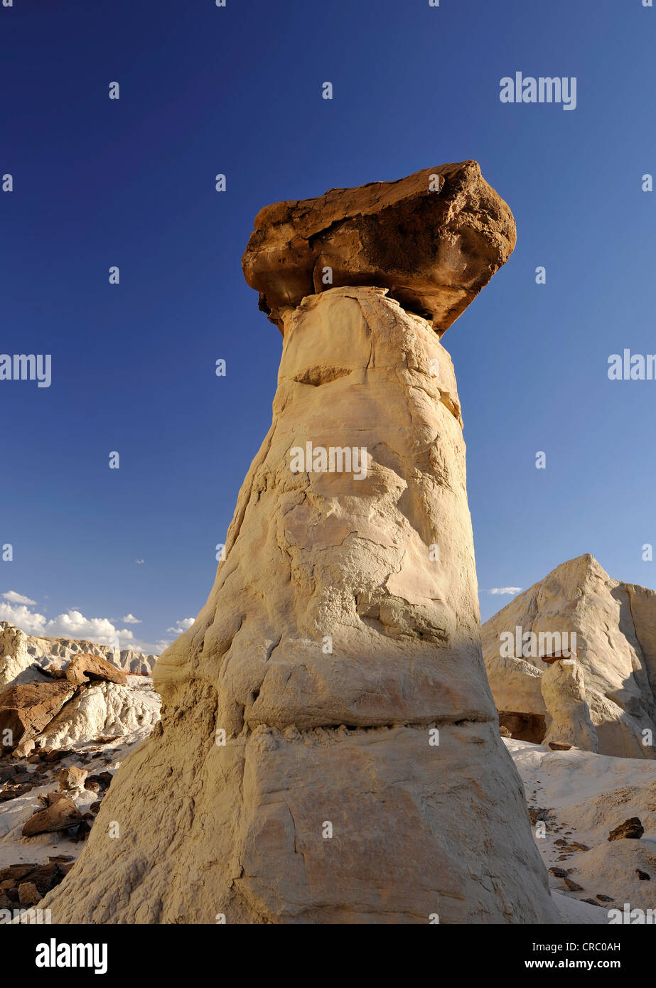 White Hoodoo, Toadstool Hoodoo, Rimrocks, Grand Staircase Escalante National Monument, GSENM, Utah, USA Stock Photo