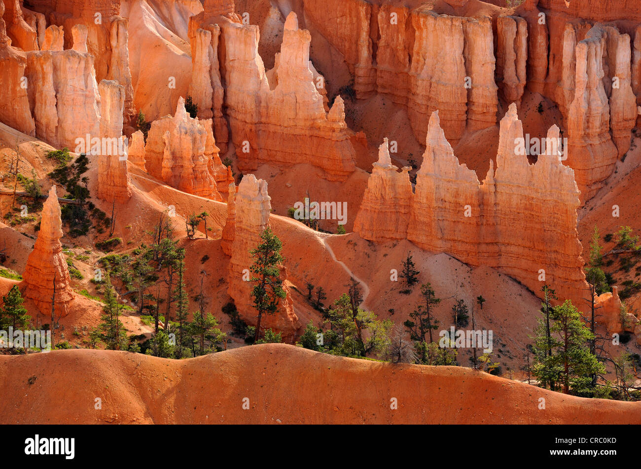 Queen Victoria rock formation, Queens Garden Trail, Sunset Point, Bryce Canyon National Park, Utah, United States of America Stock Photo