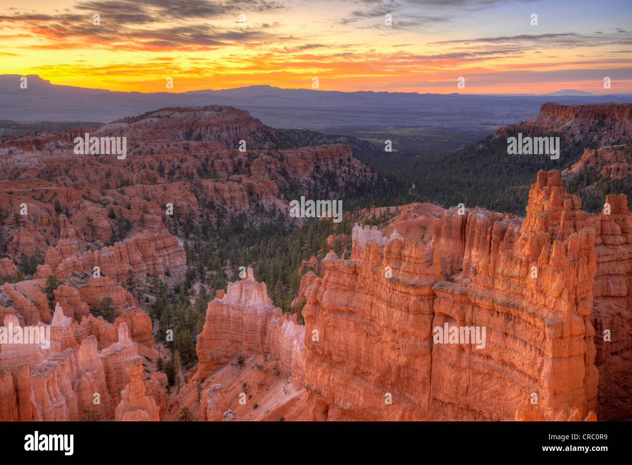 Rock formations and hoodoos, The Pope, Sinking Ship, at sunrise, Sunset Point, Bryce Canyon National Park, Utah Stock Photo