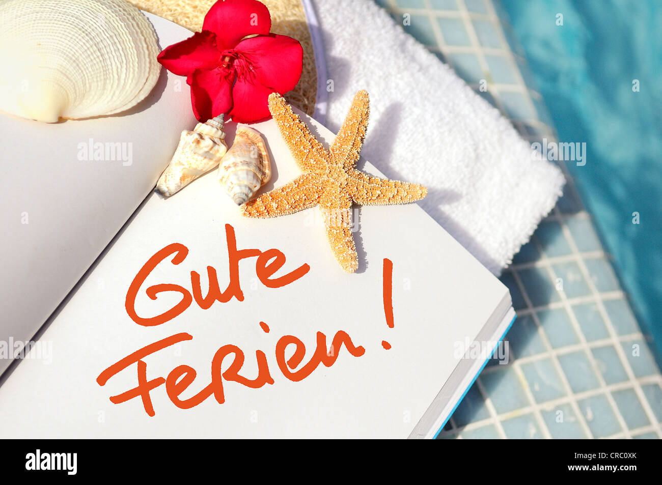 open book with strfish outdoor with swiming pool background Stock Photo