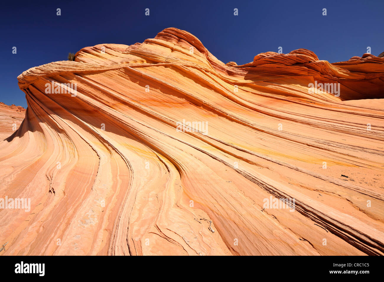 The Second Wave, banded eroded Navajo sandstone rocks with Liesegang Bands, Liesegang Rings or Liesegangen Rings, North Coyote Stock Photo