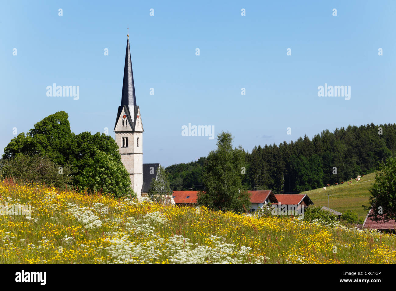 Reichersdorf, Irschenberg district, Oberland, Upper Bavaria, Bavaria, Germany, Europe, PublicGround Stock Photo
