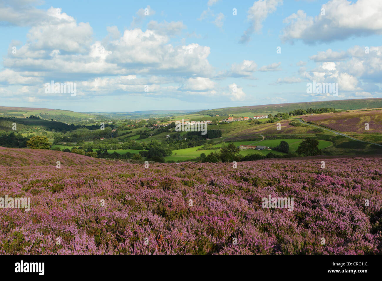 Castleton Village in the upper Esk Valley in the North York Moors National Park surrounded by flowering heather Stock Photo