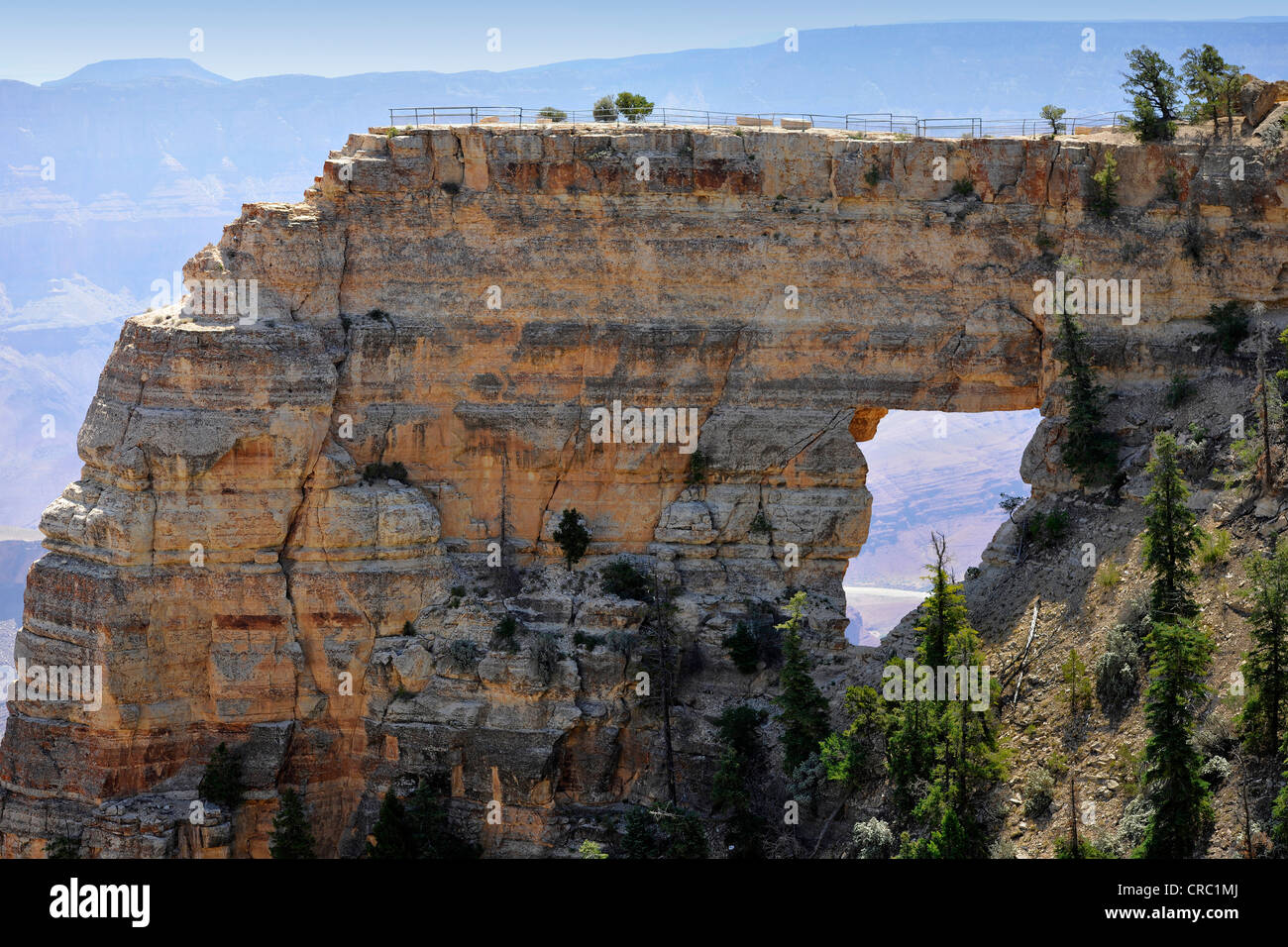 Angels Window lookout point overlooking the Colorado River, Cape Royal, Grand Canyon National Park, North Rim, Arizona Stock Photo