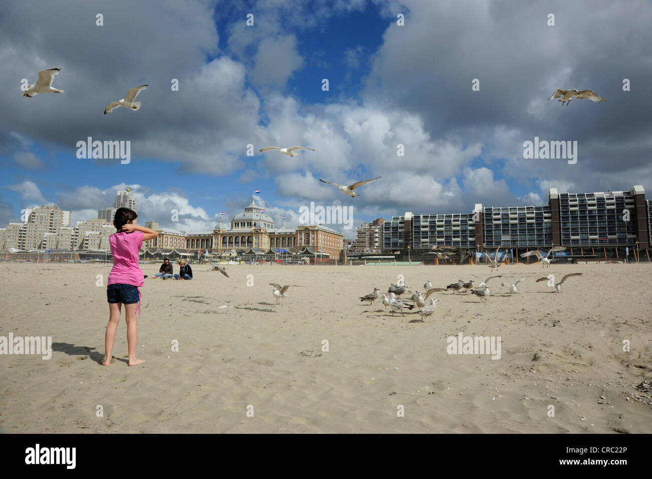 Woman and seagulls on the beach of Scheveningen, Den Haag, The Hague, Dutch North Sea coast, Holland, Netherlands, Benelux Stock Photo