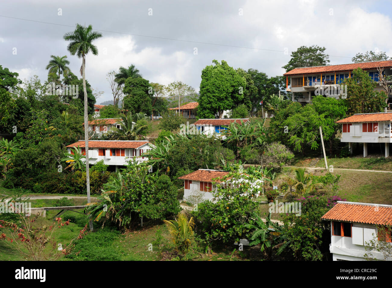 Houses in Las Terrazas, a village cooperative in the nature reserve of the Sierra del Rosario mountain range Stock Photo