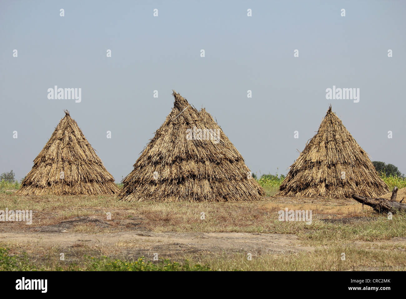 Food storage hires stock photography and images Alamy