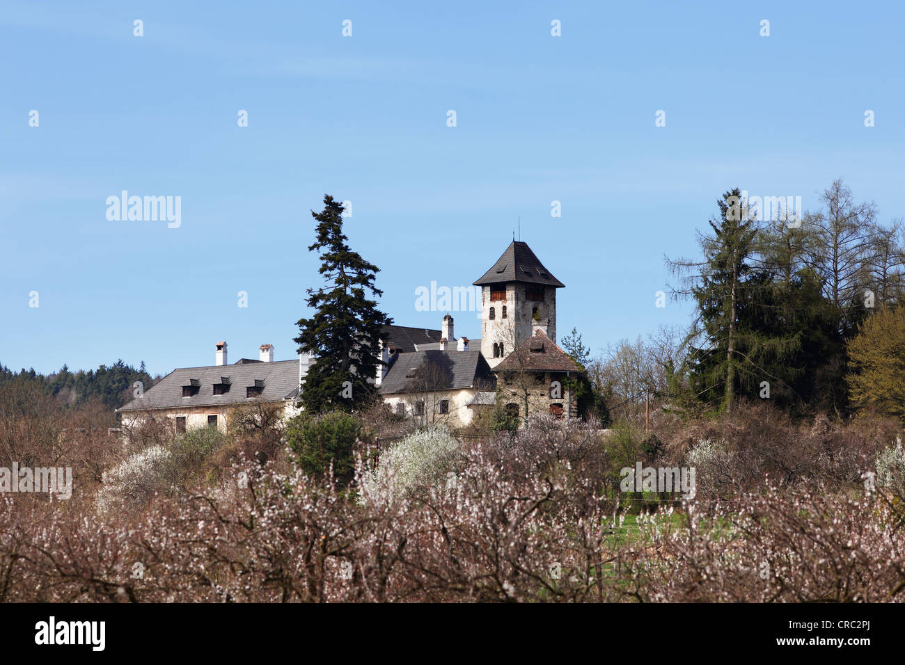 Oberranna castle, Muehldorf, Spitzer Graben, Wachau, Waldviertel region, Lower Austria, Austria, Europe Stock Photo