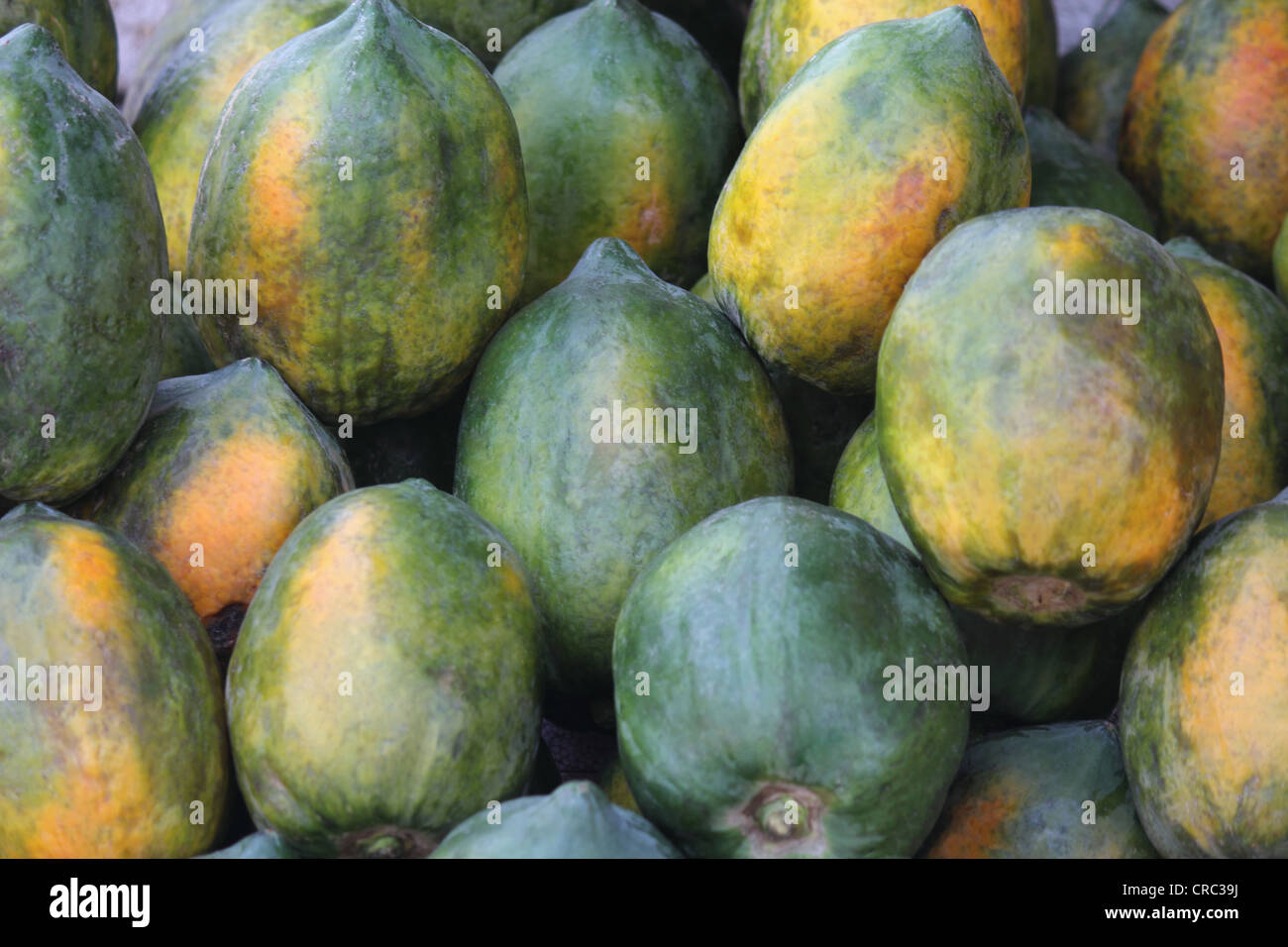 Papaya for sale hires stock photography and images Alamy