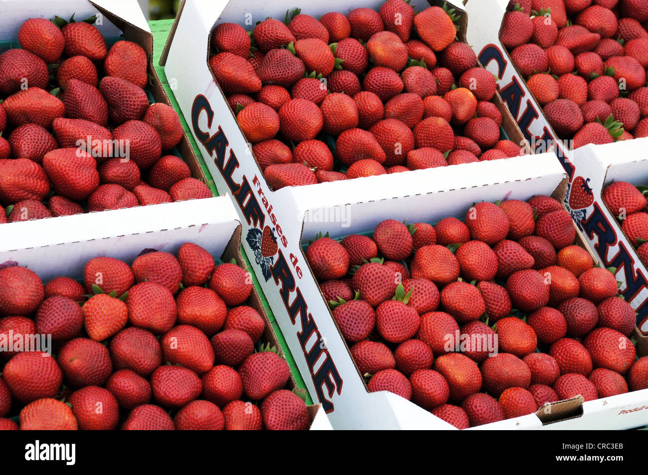 STRAWBERRIES FOR SALE AT ROADSIDE FRUIT STAND,CALIFORNIA,USA Stock Photo