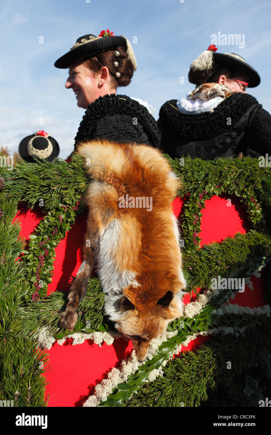 Women wearing traditional costume, fox furs, Leonhardi procession, Bad Toelz, Isarwinkel, Upper Bavaria, Bavaria Stock Photo
