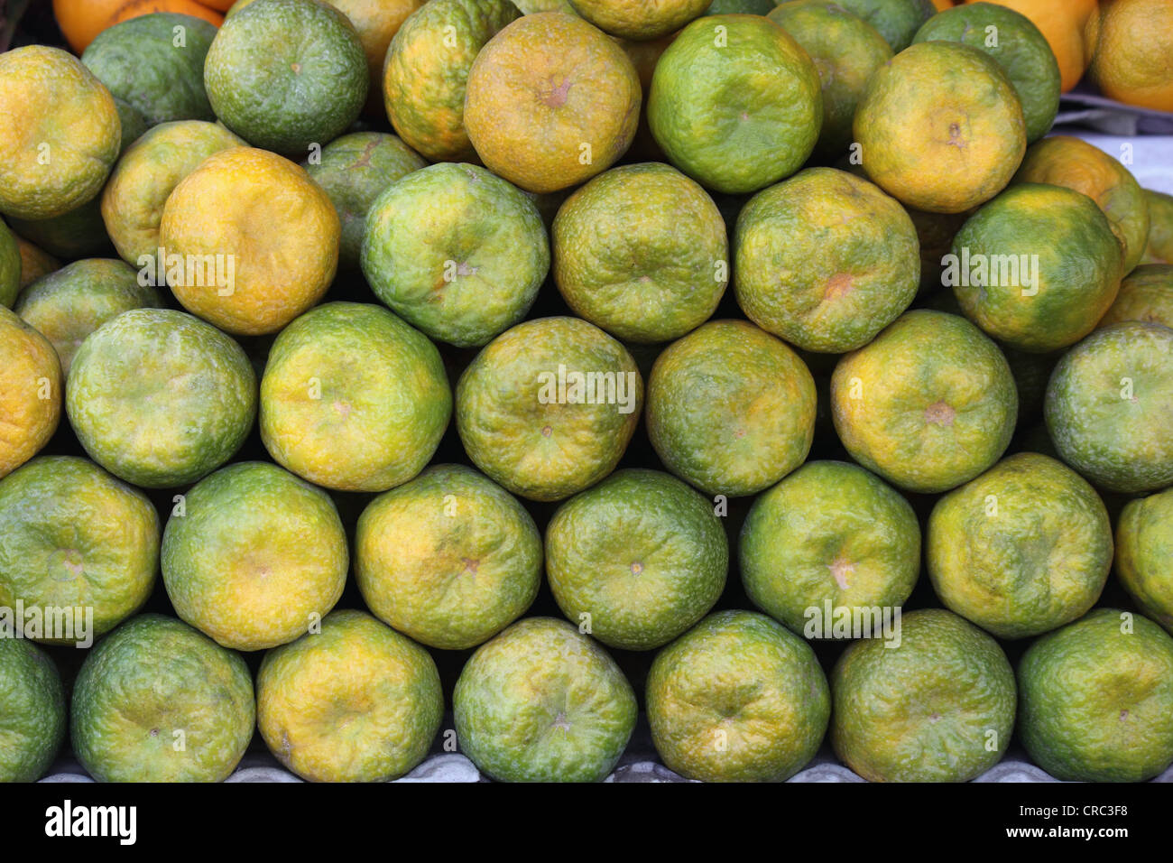 Sweet lime (Citrus limetta) fruit for sale in market at Pune, India Stock Photo