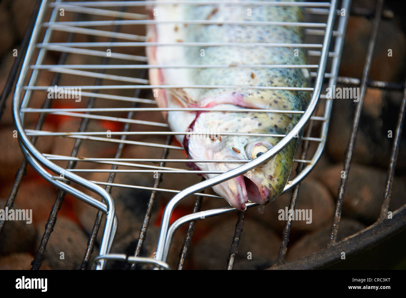 Grilled fresh trout, charcoal grill outside Stock Photo Alamy