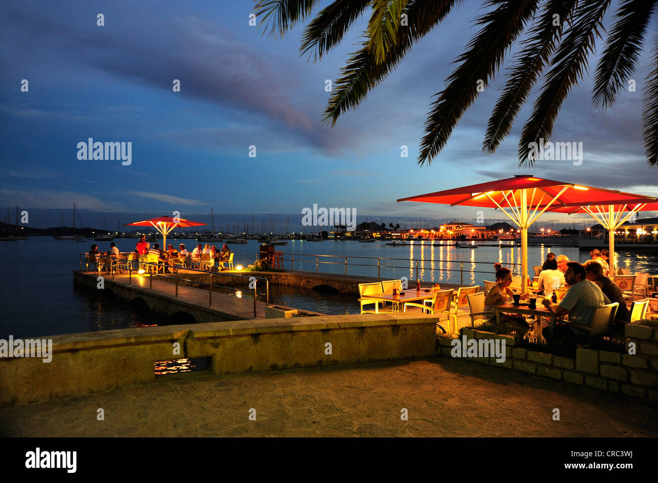 Cafe and restaurant in the evening, palm tree on the seaside, Puerto de  Pollensa, Port de Pollenca, Majorca, Mallorca Stock Photo - Alamy