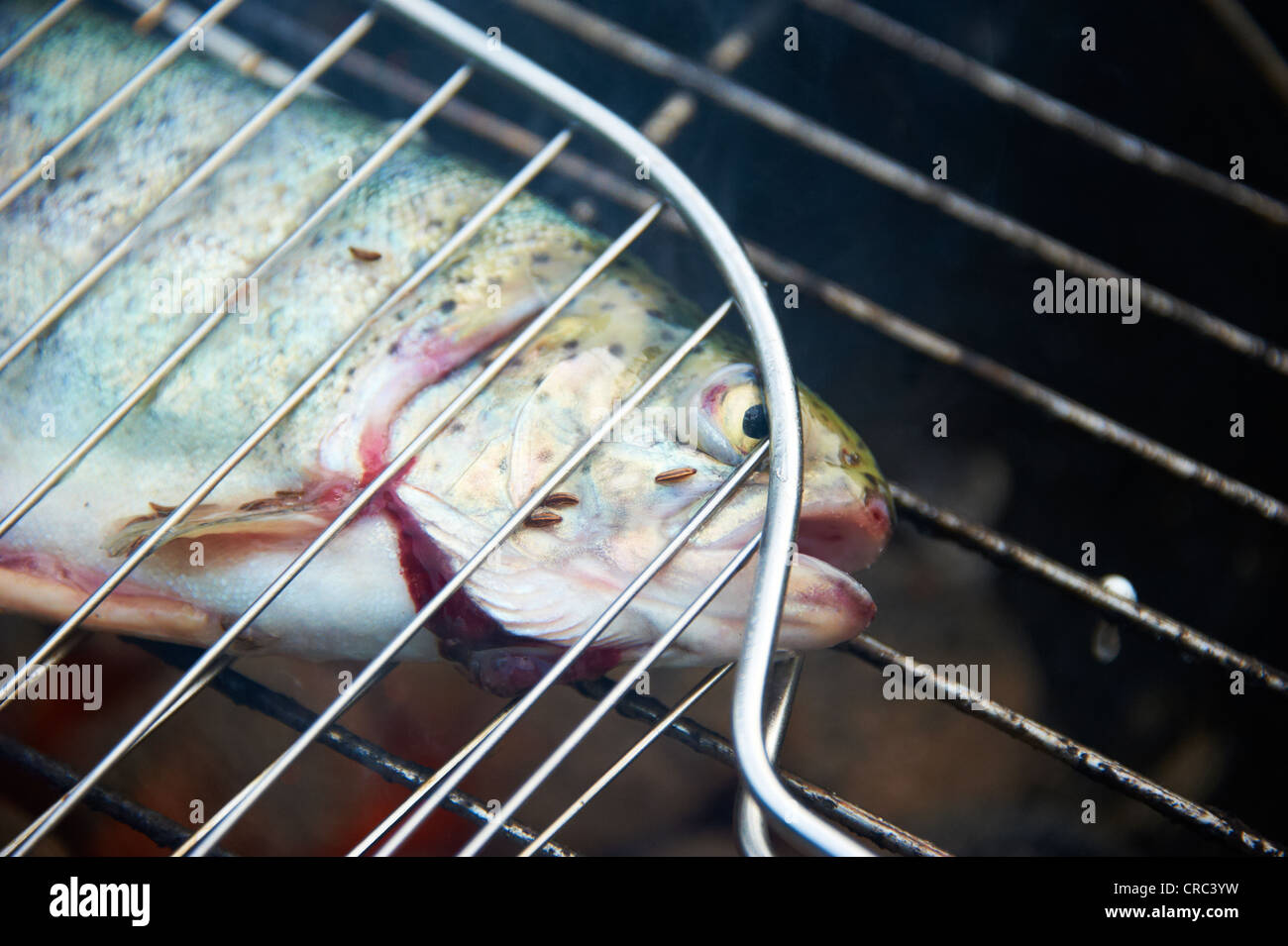 Grilled fresh trout, charcoal grill outside Stock Photo Alamy