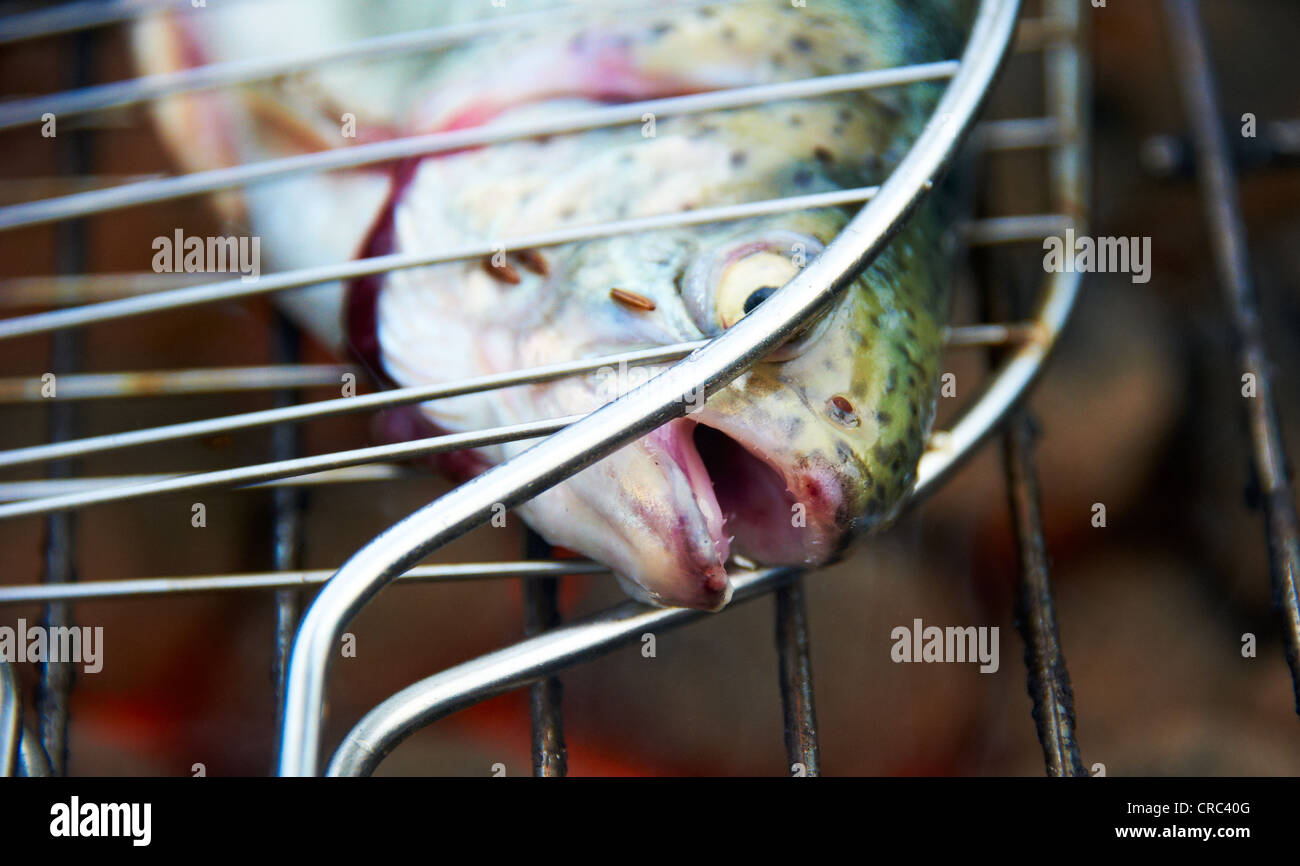 Grilled fresh trout, charcoal grill outside Stock Photo Alamy
