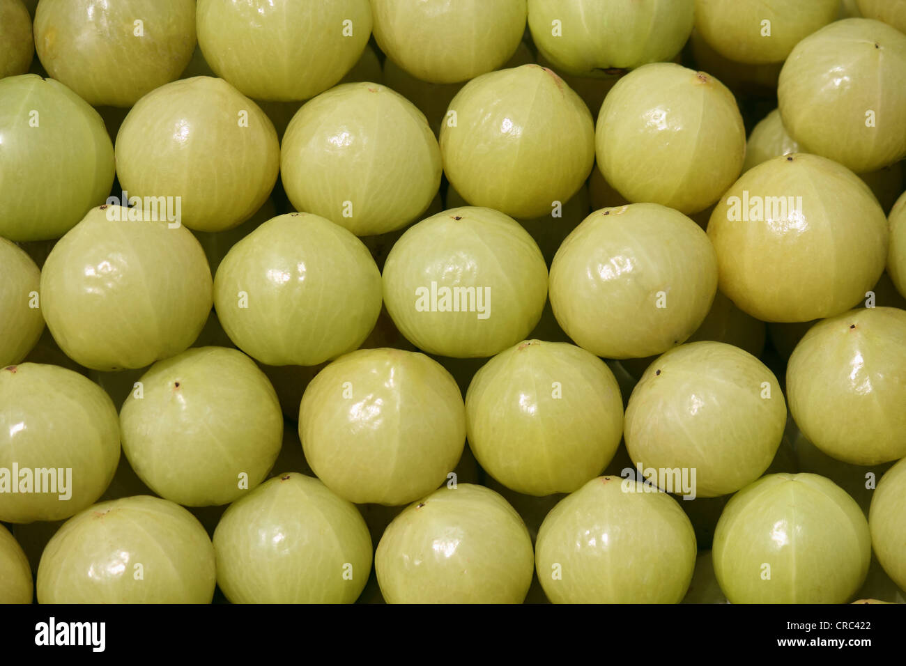Indian gooseberry (Phyllanthus emblica), also know as aamla Stock Photo