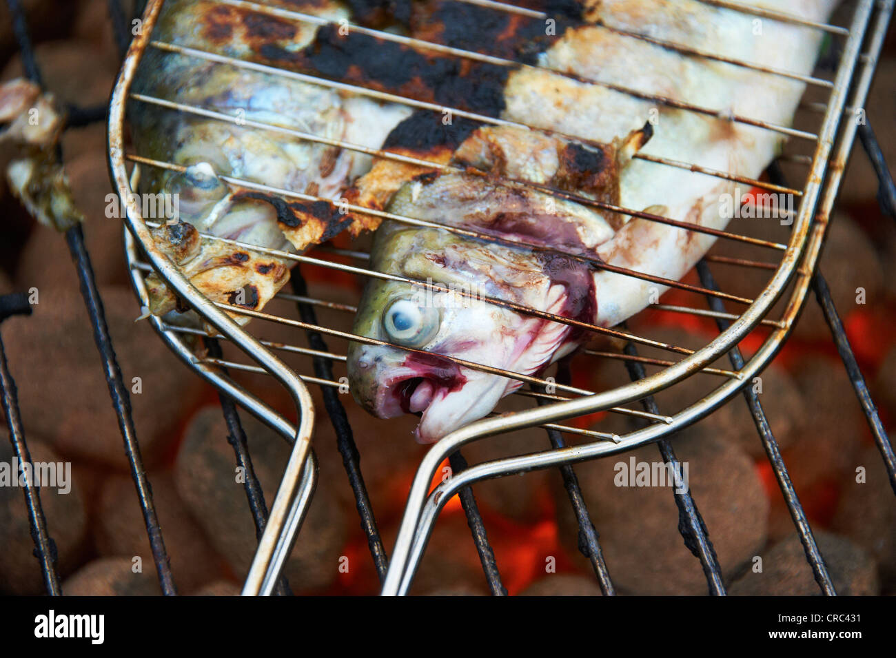 Grilled fresh trout, charcoal grill outside Stock Photo Alamy