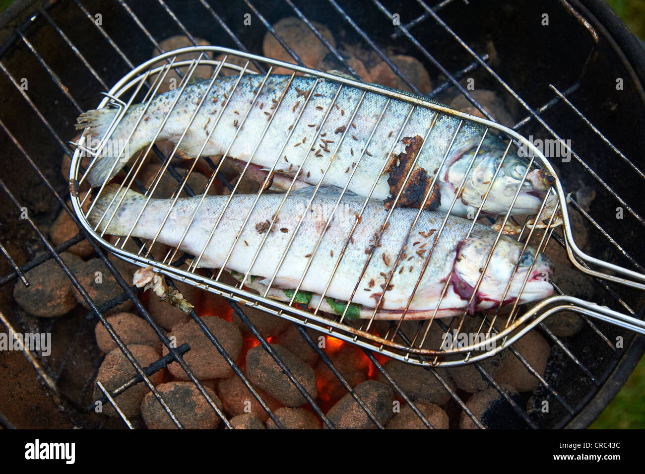 Grilled fresh trout, charcoal grill outside Stock Photo Alamy