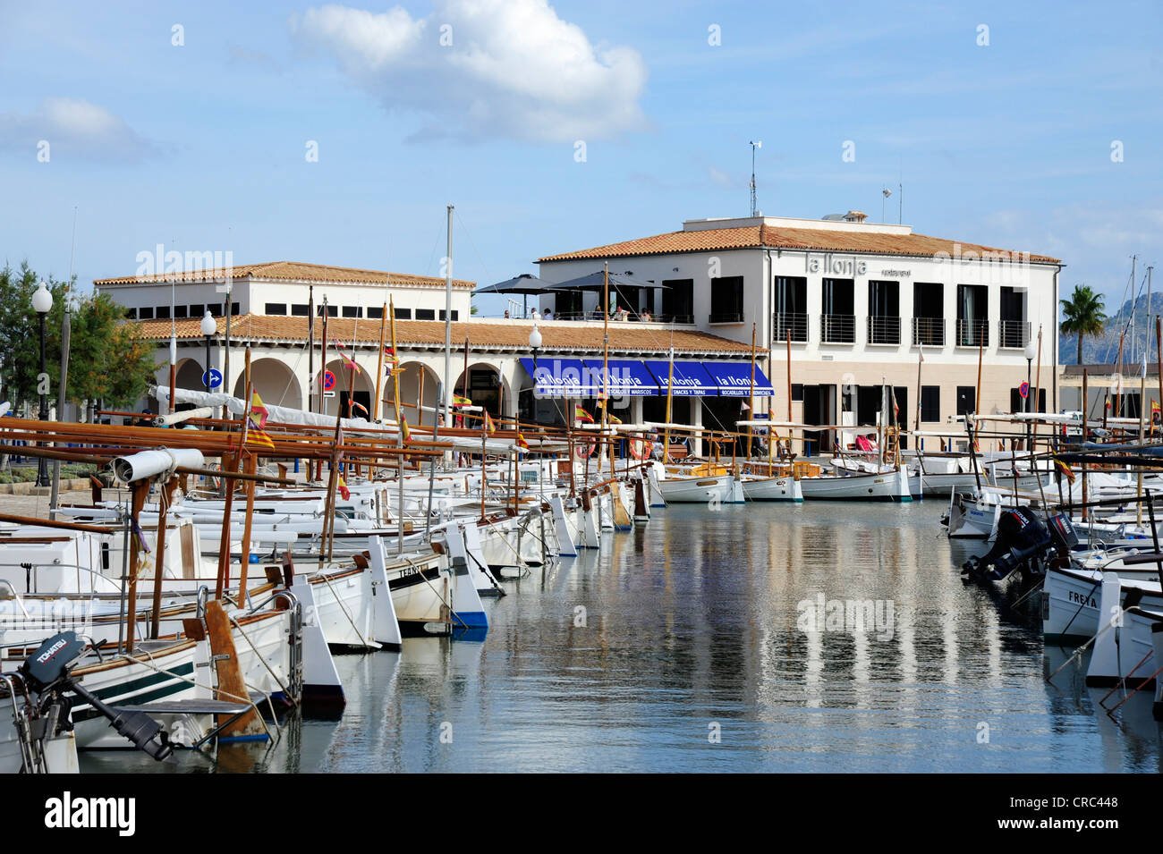 Boats in the harbour, marina of Puerto de Pollensa, Port de Pollenca, Mallorca, Majorca