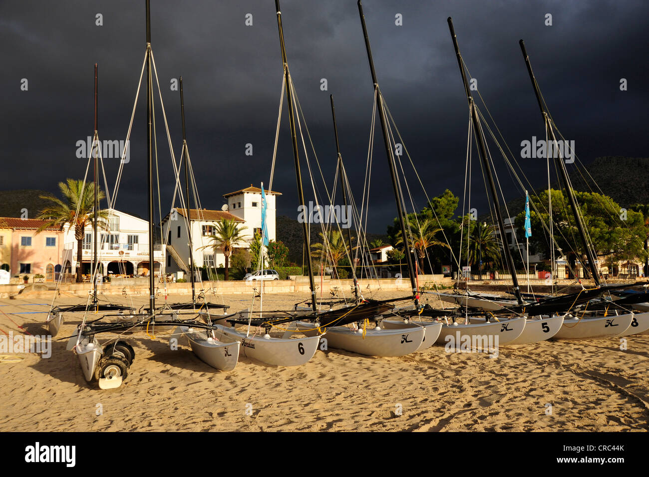 Catamaran sailing boats, beach with stormy sky, Puerto de Pollensa
