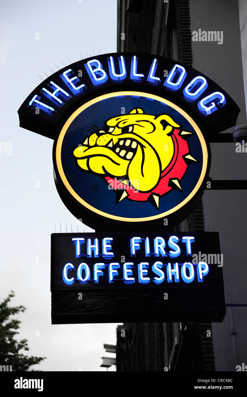 Sign of a bar, cafe, The Bulldog coffeeshop, neon sign in the De Wallen district, red-light district, historic district Stock Photo