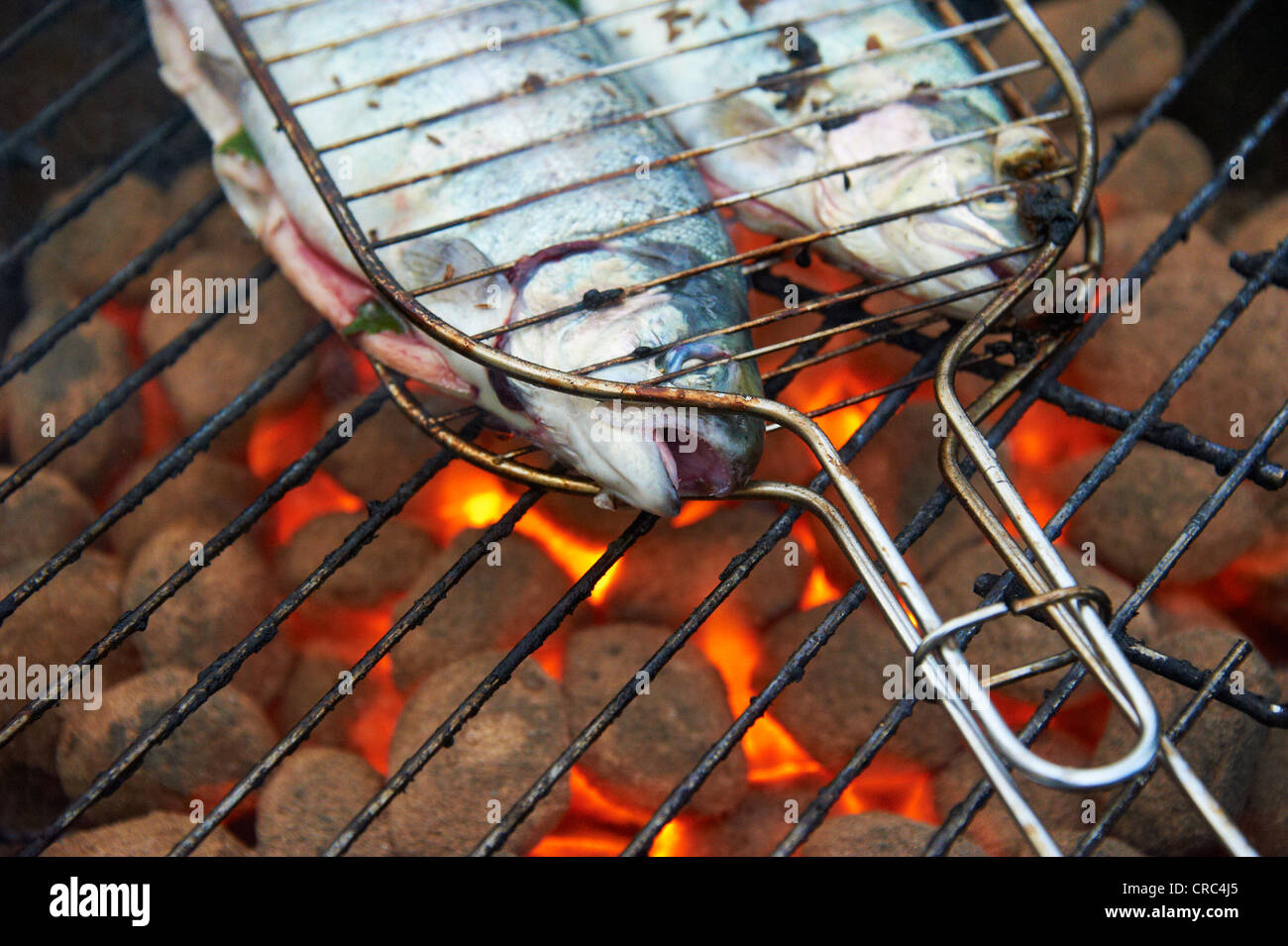 Grilled fresh trout, charcoal grill outside Stock Photo Alamy