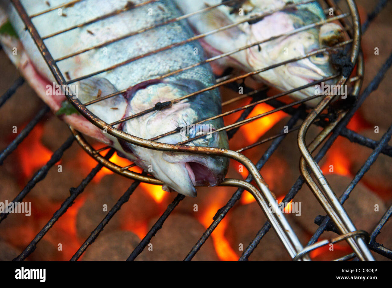 Grilled fresh trout, charcoal grill outside Stock Photo Alamy
