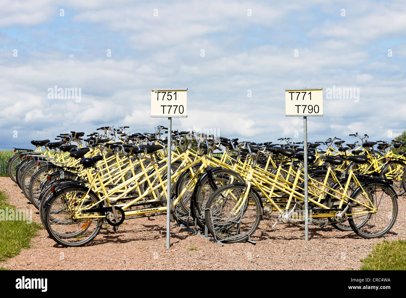 Tandem bicycles for hire on the island of Hven or Ven in Oresund, Sweden, Europe Stock Photo