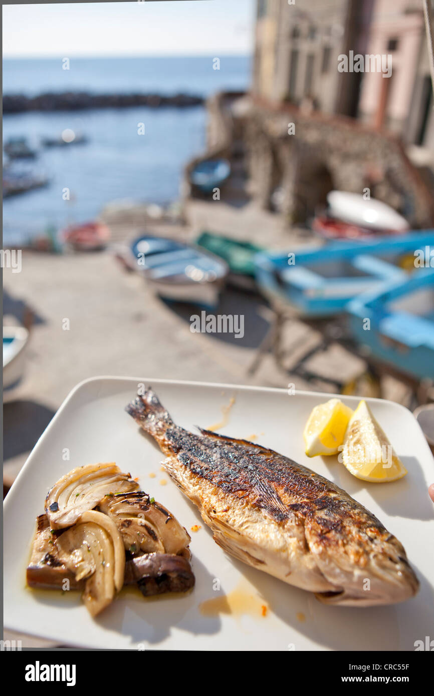 grilled fresh fish on plate, Cinque Terre, Italy Stock Photo - Alamy