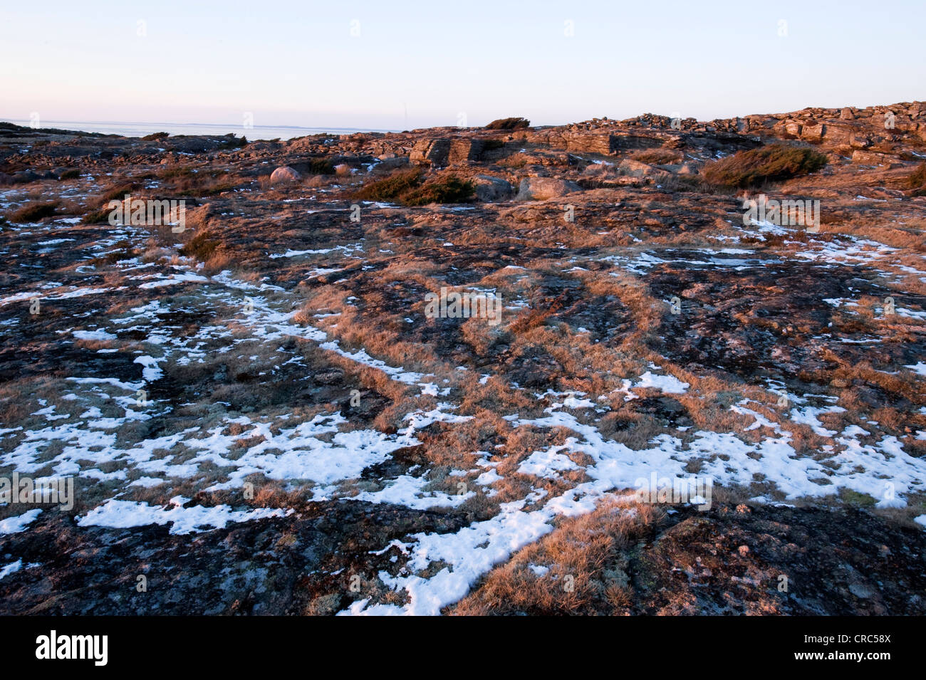 Graphic winter landscape Stock Photo