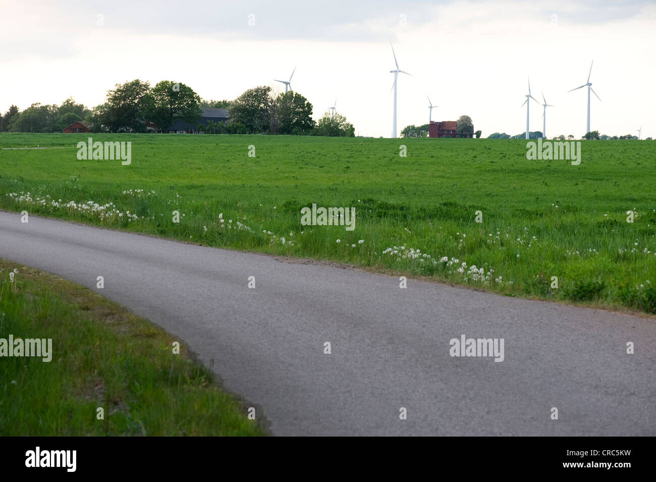 Road with wind power plants Stock Photo