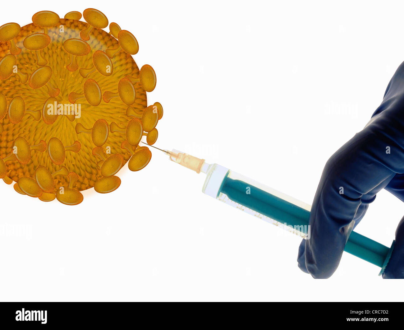 Spore Injection Scientist injecting fluid into spores Stock Photo - Alamy