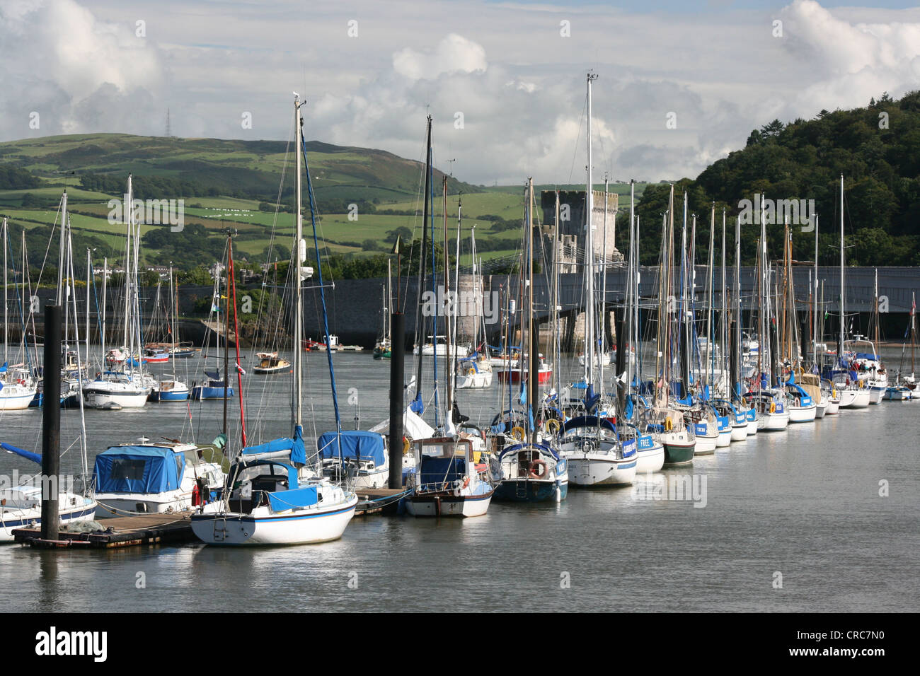 Moored boats at Conwy Harbour, Conwy, Wales, Europe Stock Photo