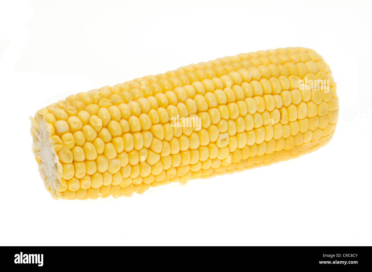 Corn on the cob isolated on a white background Stock Photo