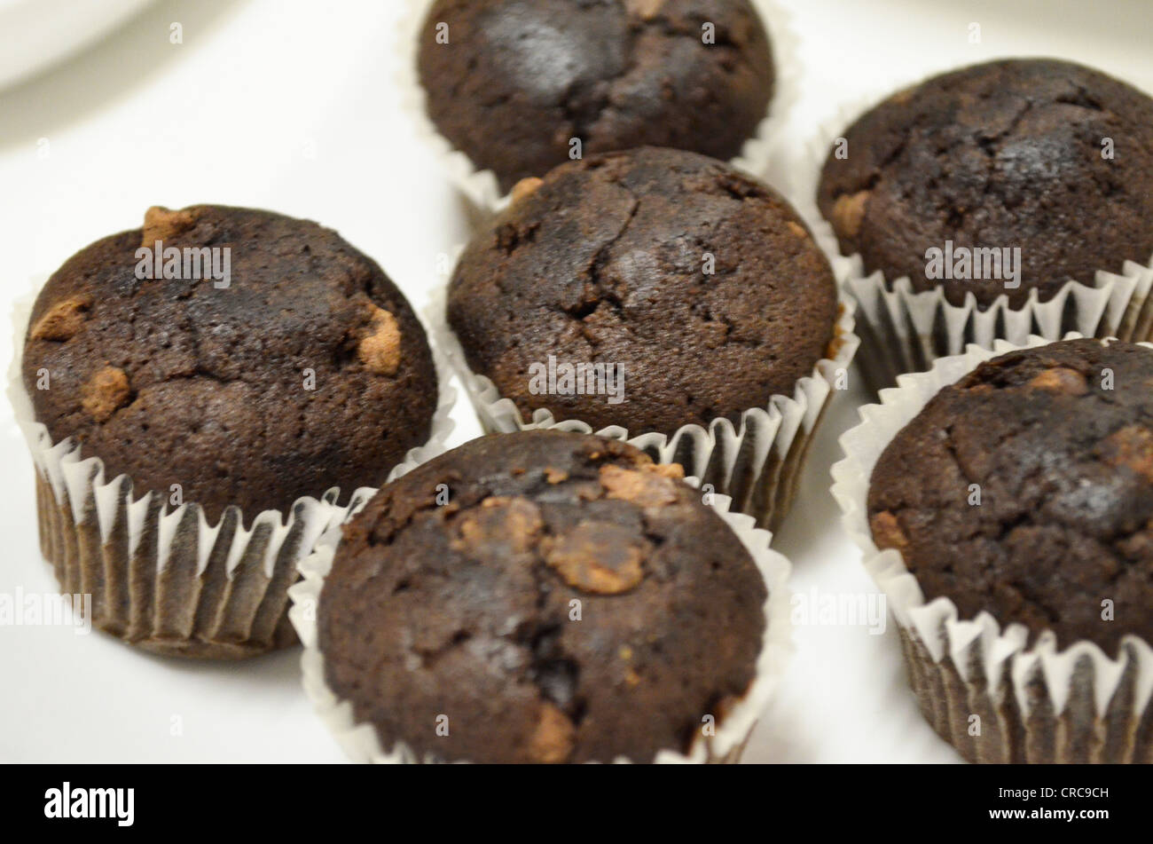 Mini chocolate chip muffins Stock Photo
