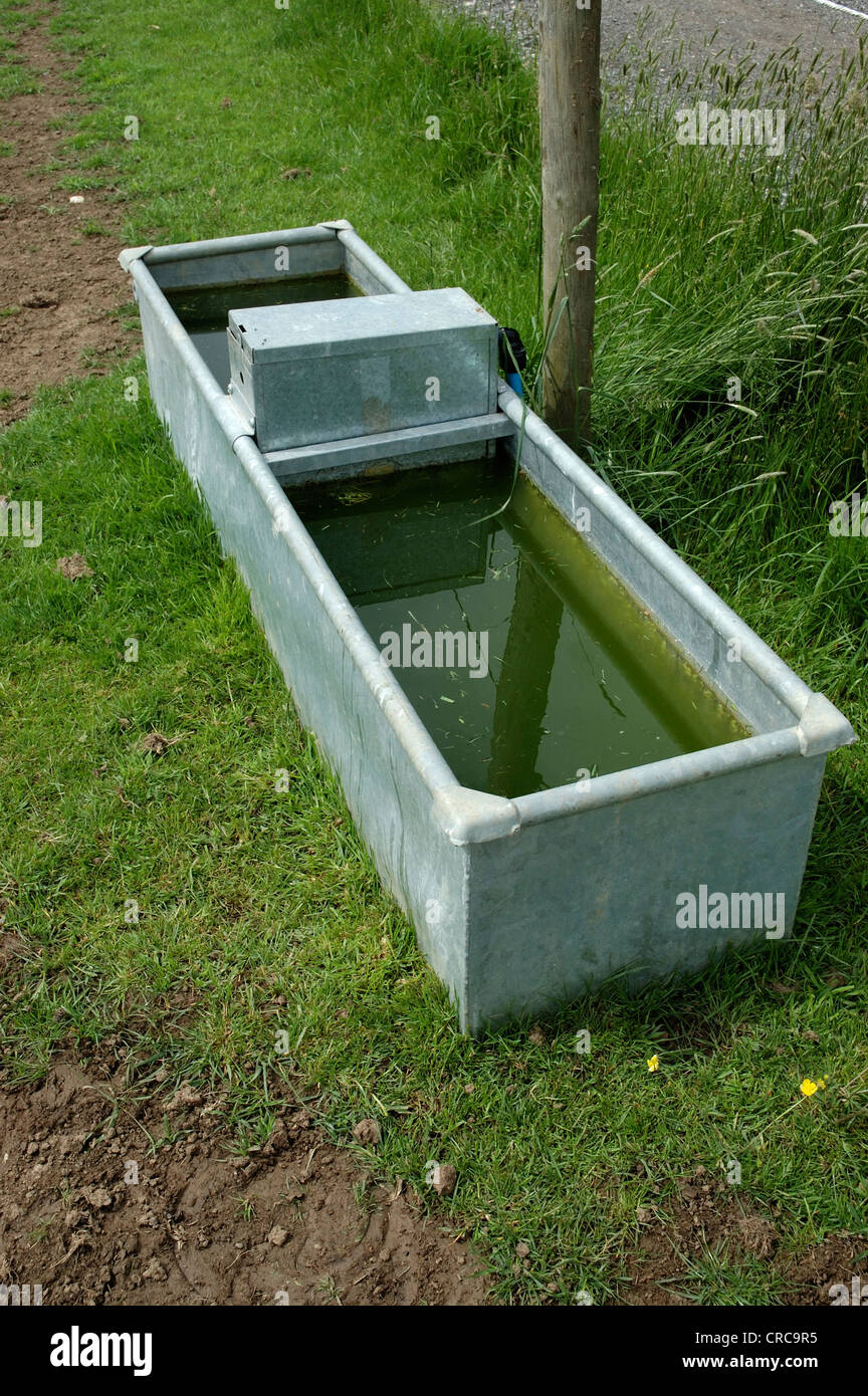 Metal drinking trough hires stock photography and images Alamy