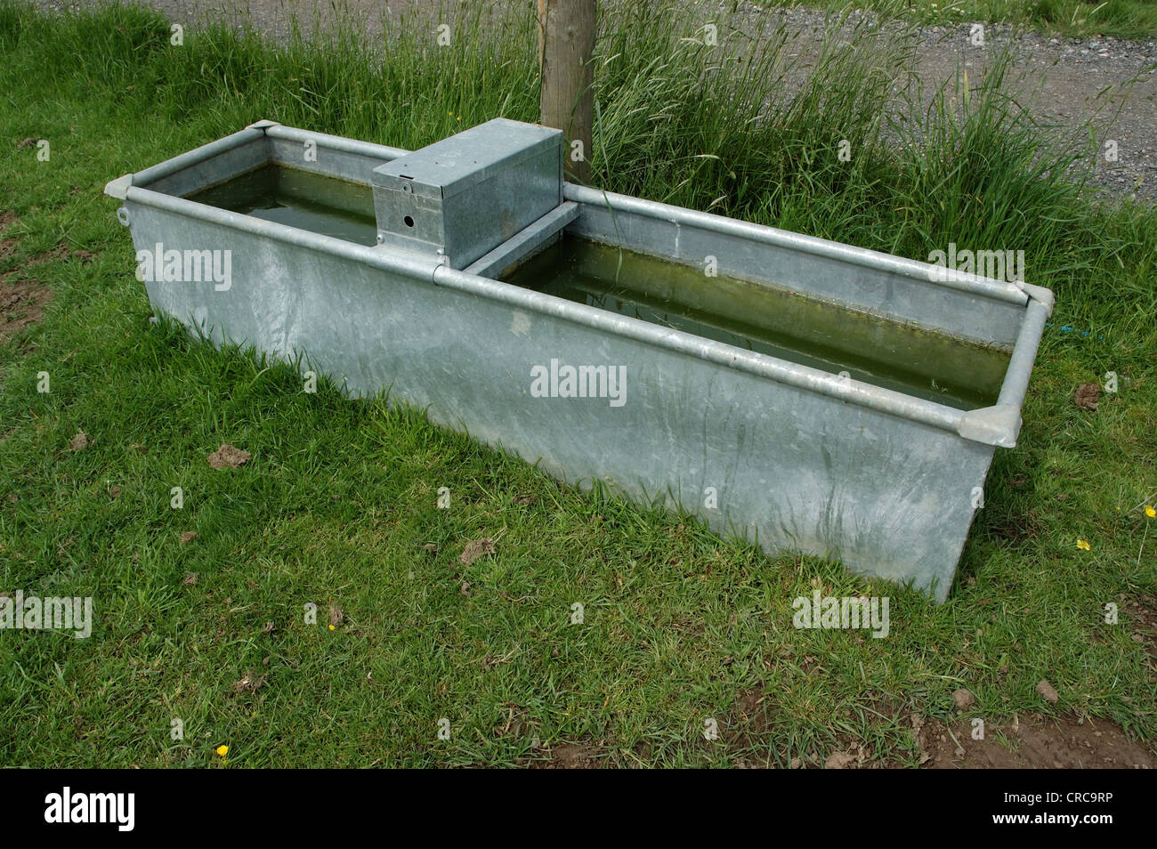 Metal water trough hires stock photography and images Alamy