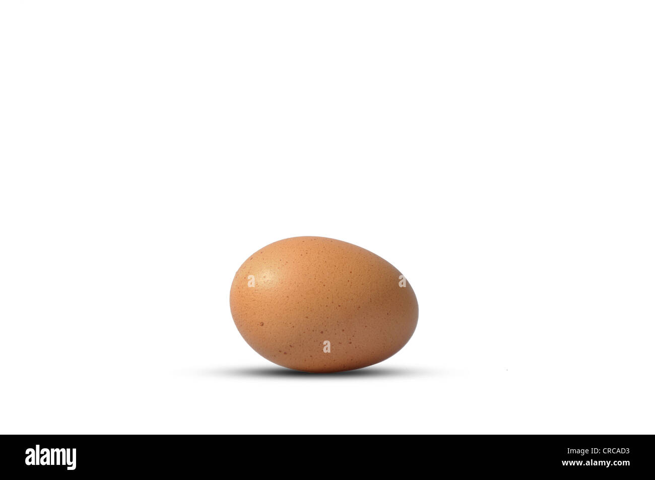 A single egg laying on its side on a white background Stock Photo - Alamy