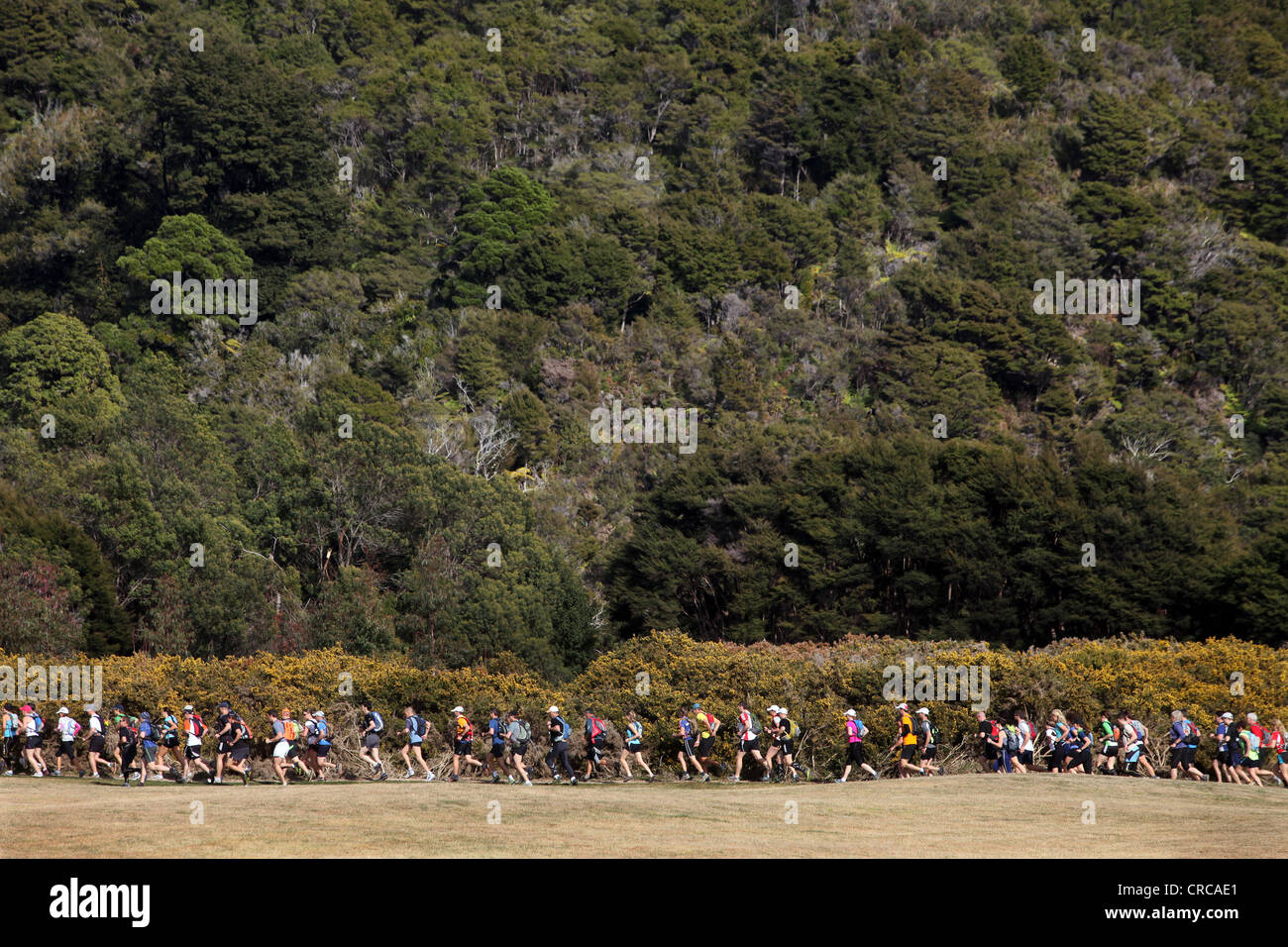 Entrants competing in the Abel Tasman Coastal Classic trail long