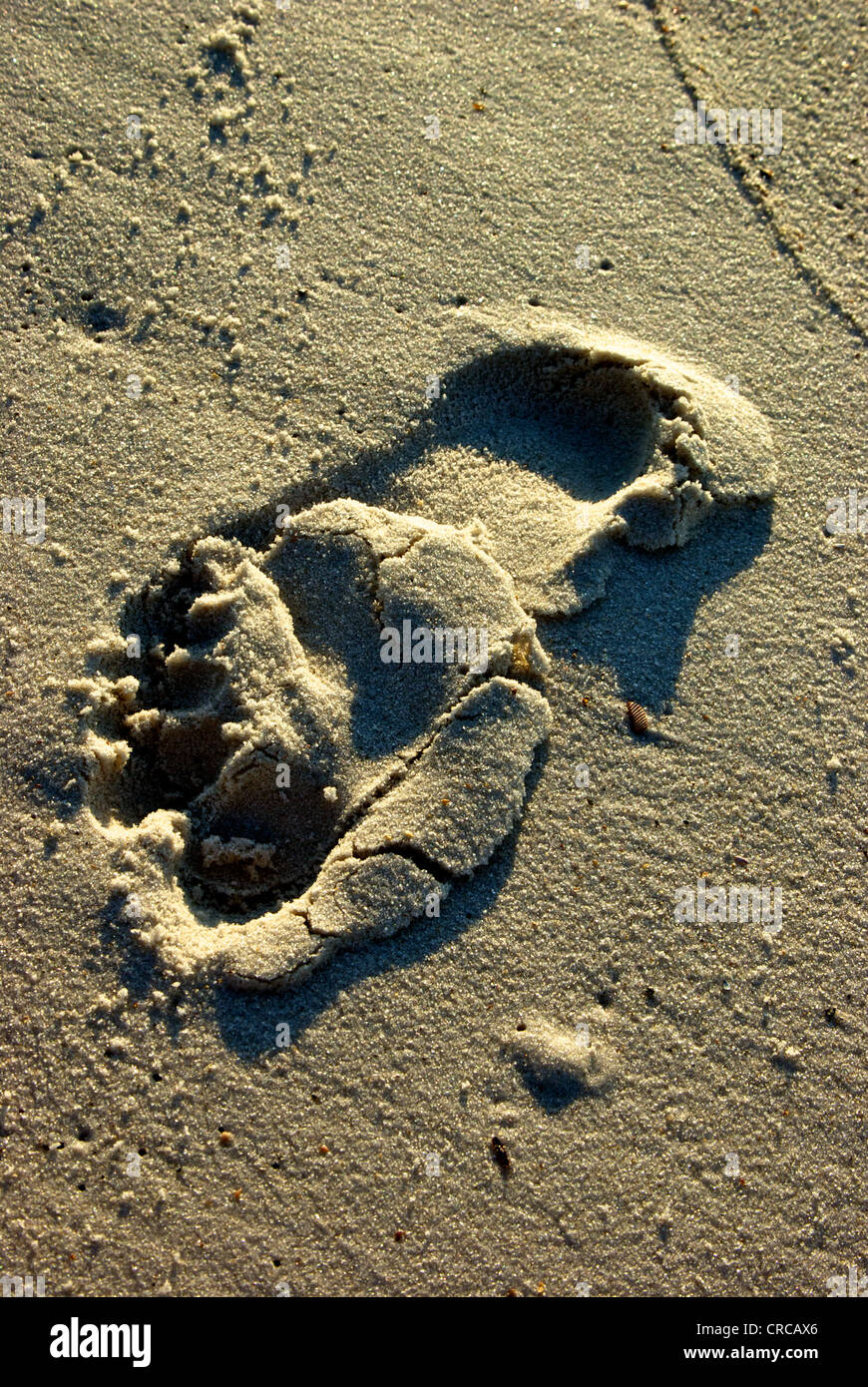 Footprint in fine grain sand shoreline Orange Beach Gulf Shores Alabama Stock Photo