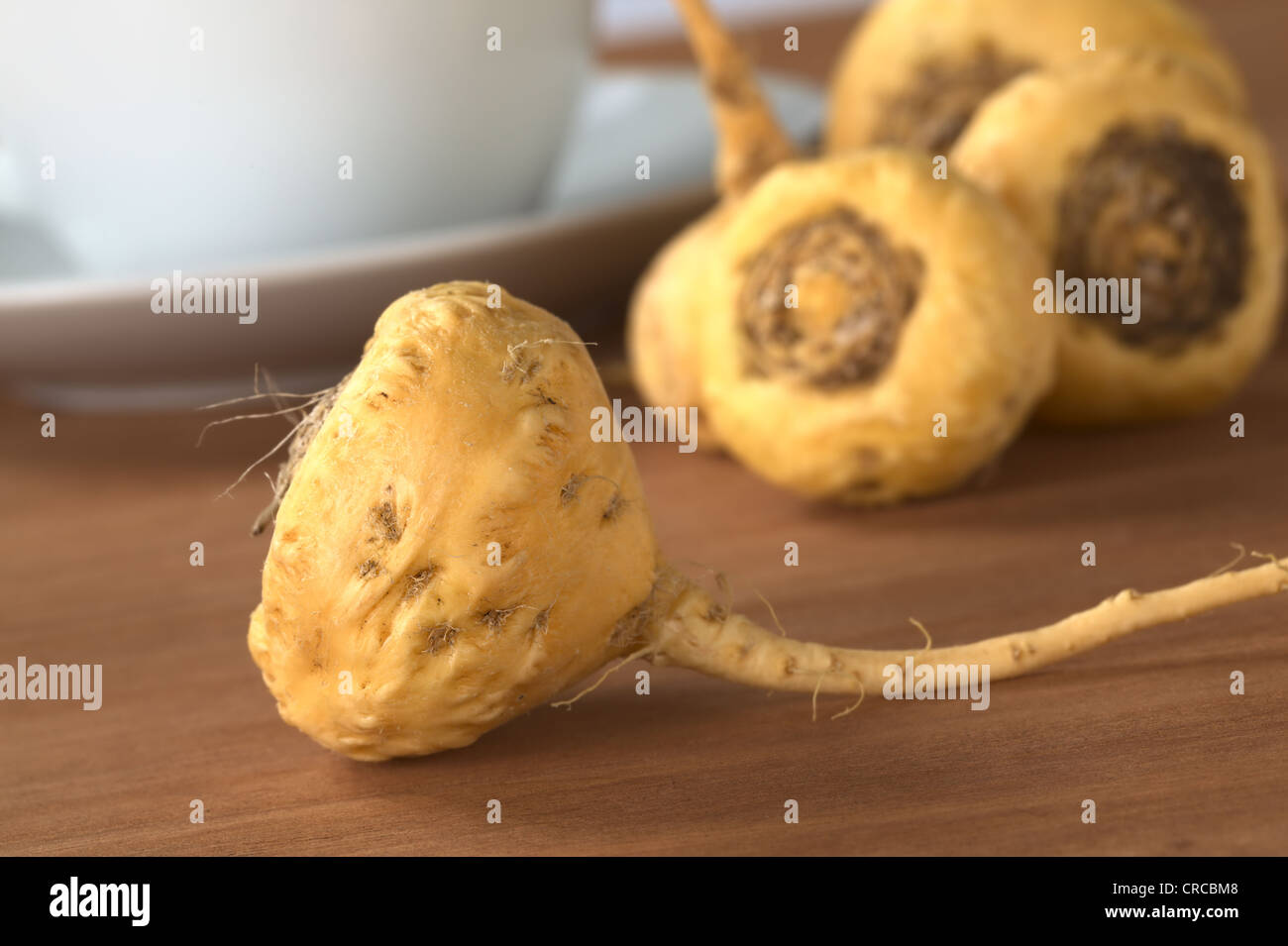 Peruvian Ginseng, in Spanish called Maca (lat. Lepidium meyenii), which