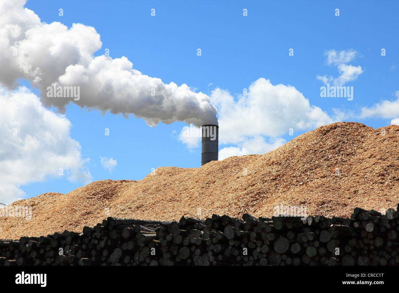Billowing exhaust from a chimney above a large heap of wood chippings Egger chipboard factory Hexham Northumberland England UK Stock Photo