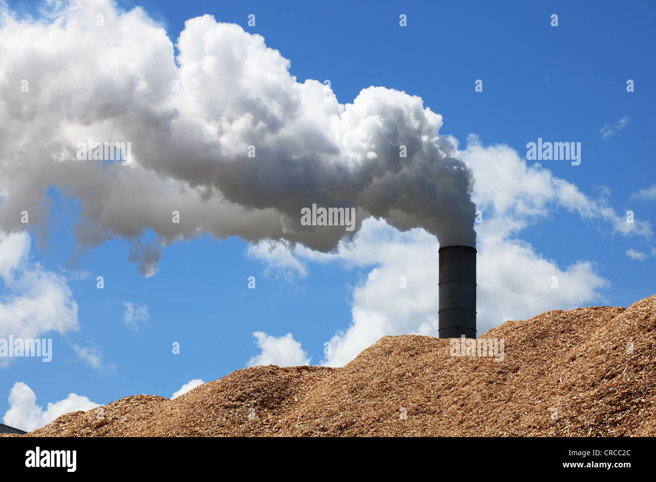 Billowing exhaust from a chimney above a large heap of wood chippings Egger chipboard factory Hexham Northumberland England UK Stock Photo